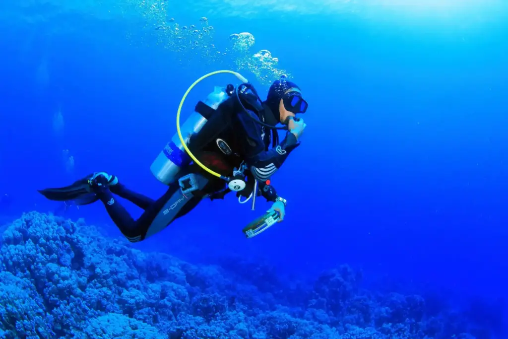 Buceo en las Islas Ballestas