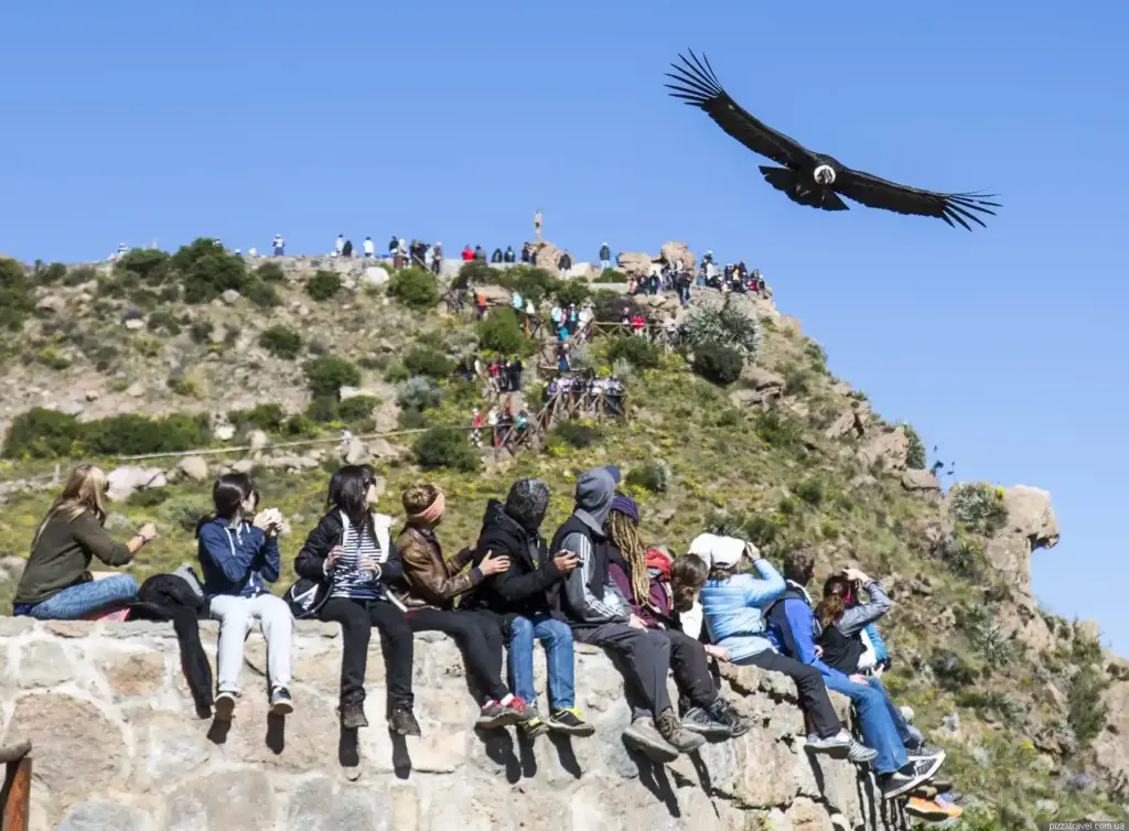 Cañón del Colca