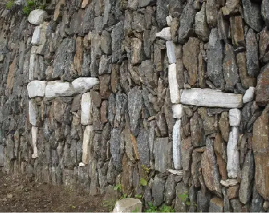 Las Llamas de Choquequirao