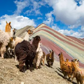 Tour Aventuras Panamá al Perú 10 Días