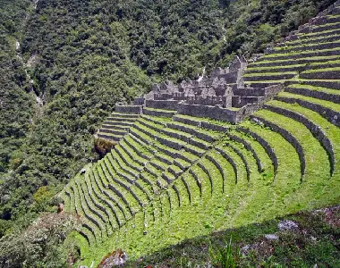 Wiñaywayna