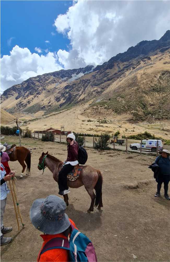 caballo en la laguna humantay