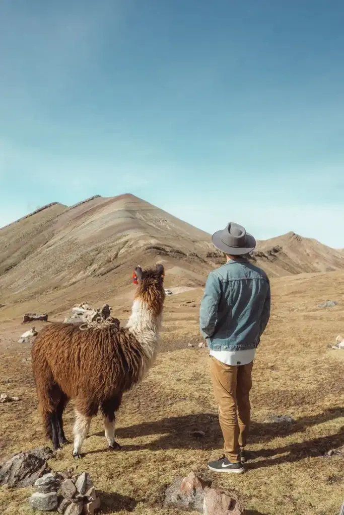 camino a la montaña de colores