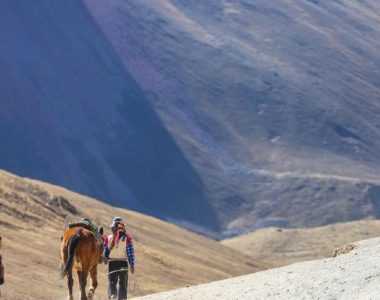 caballo en la montaña de 7 colores