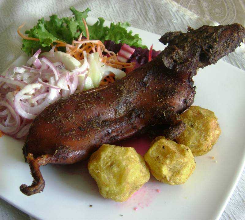 cuy al horno