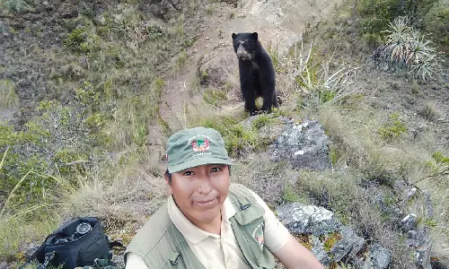 oso en machu picchu