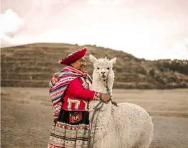 llama en Sacsayhuamán