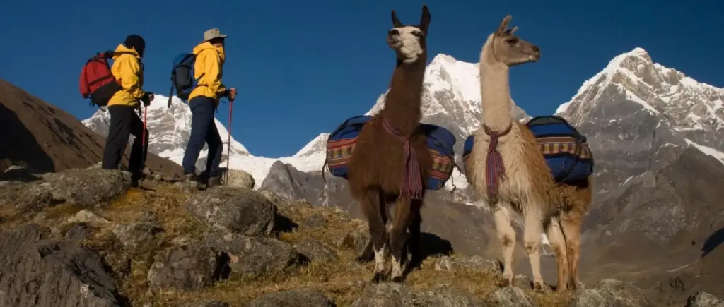 mal de altura en cusco