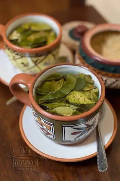 mate de coca