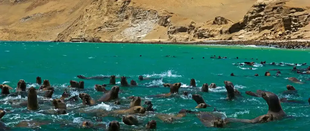 islas ballesta
