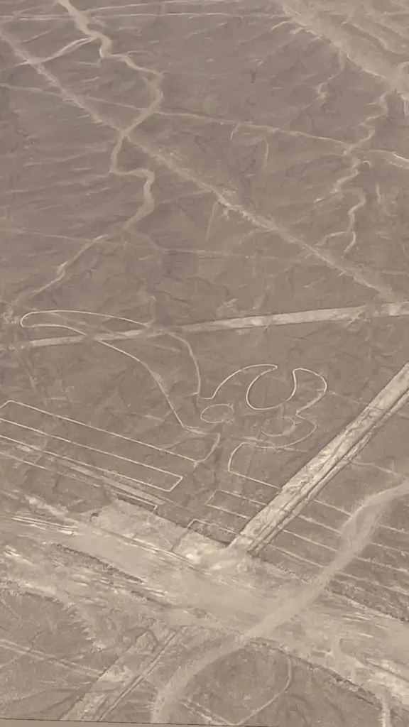 vuelo sobre las lineas de nazca